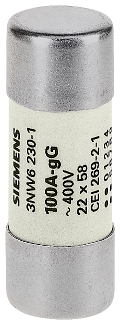 Siemens 3NW6224-1 SİLİNDİRİK SİGORTA (KARTUŞ SİGORTA); 22X58mm; 80 A
